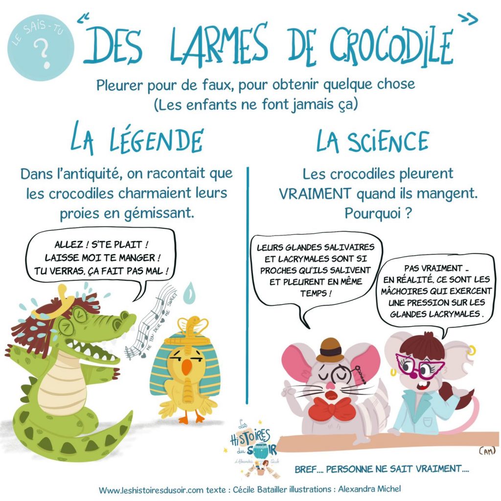 L'histoire des origines des crocodiles : comment la lenteur et la  régularité ont gagné la course